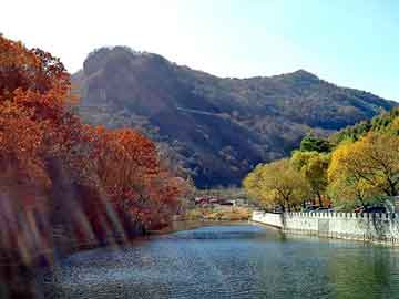 新澳天天免费资料大全，林峰叶璇